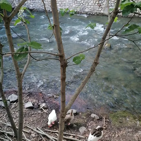 La Casa De La Abuela *